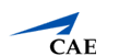 CAE Logo